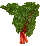Red_chard