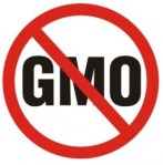 No gmo 2